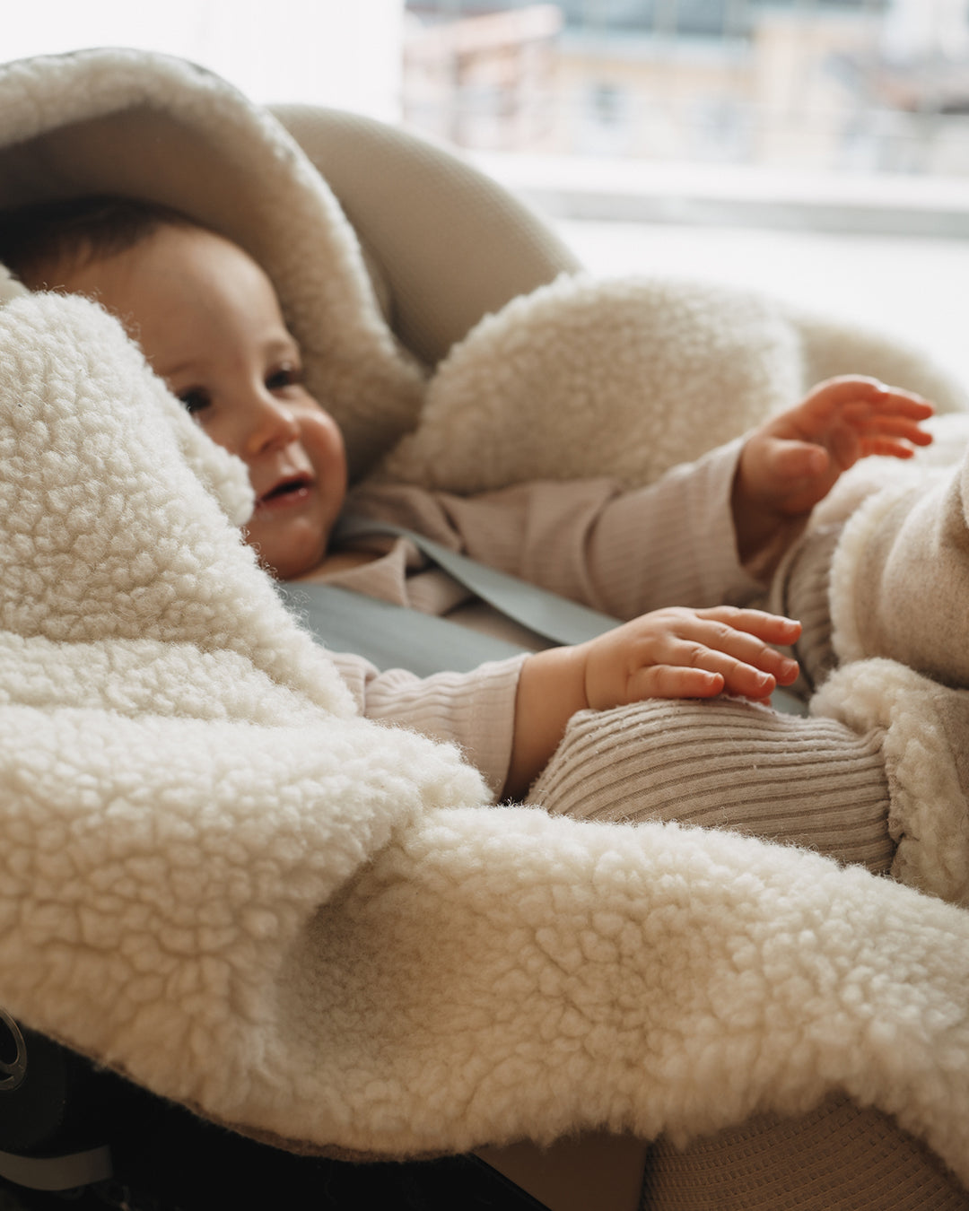 Einschlagdecke Koala Large