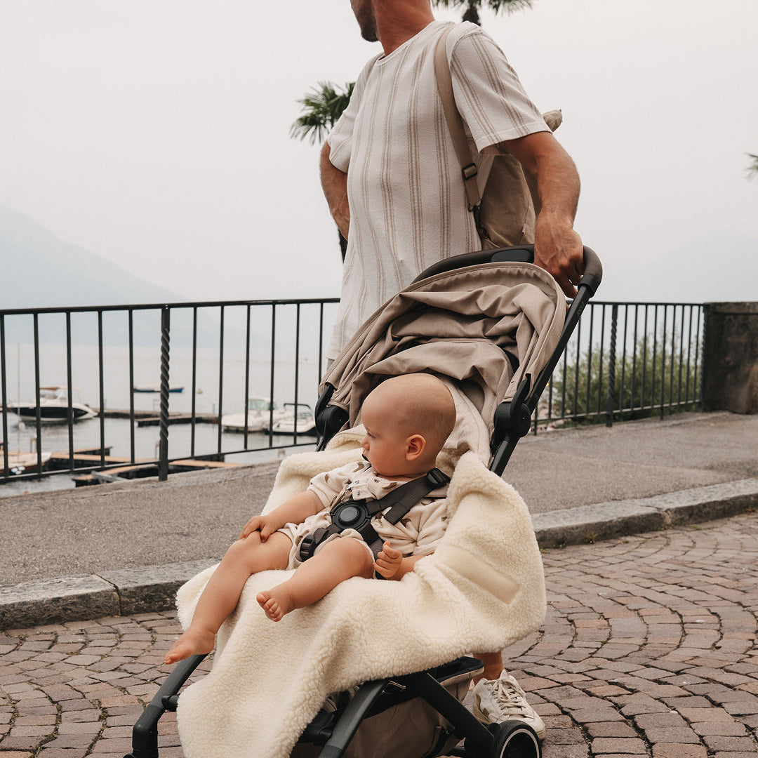 Einschlagdecke Koala