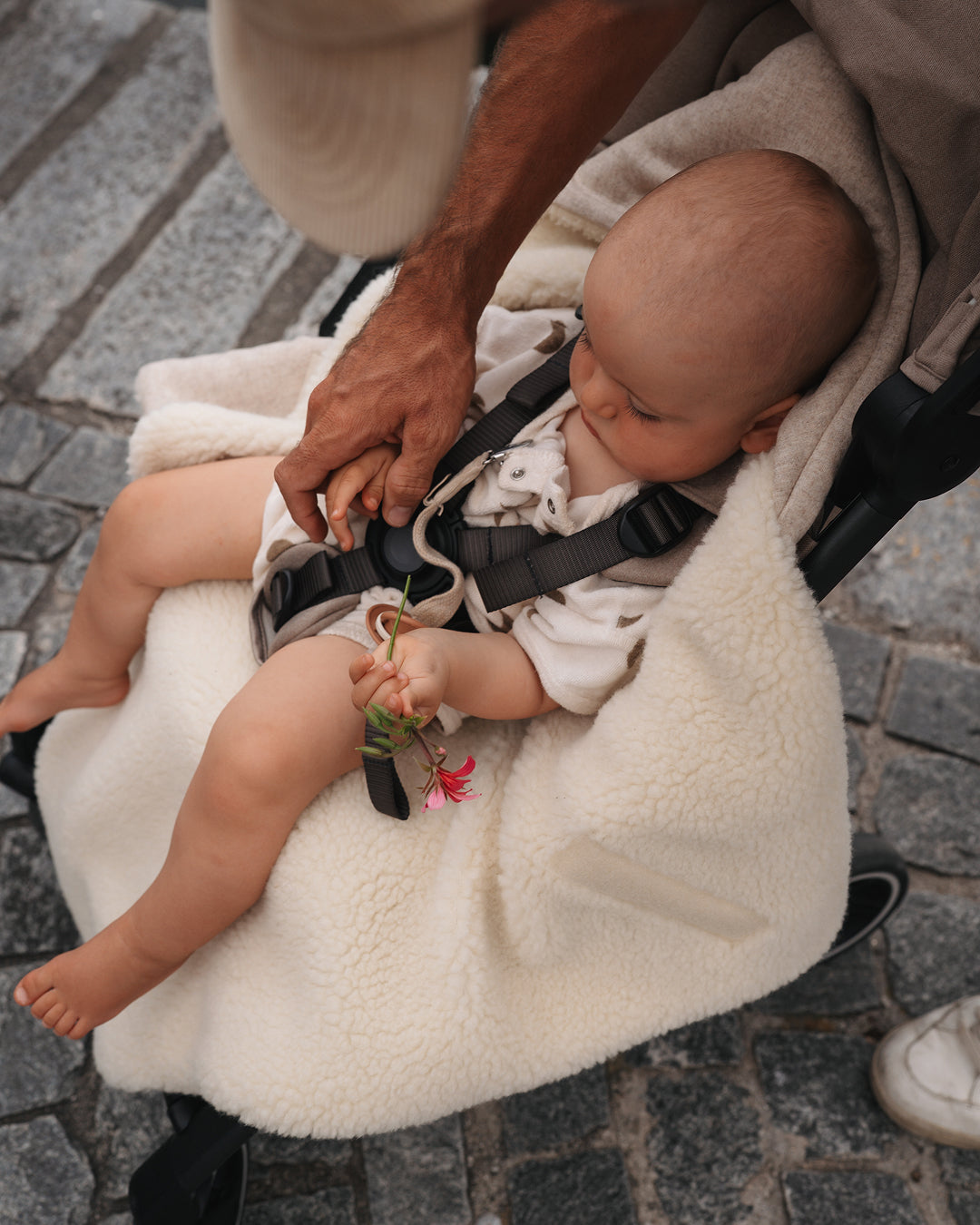 Einschlagdecke Koala Large